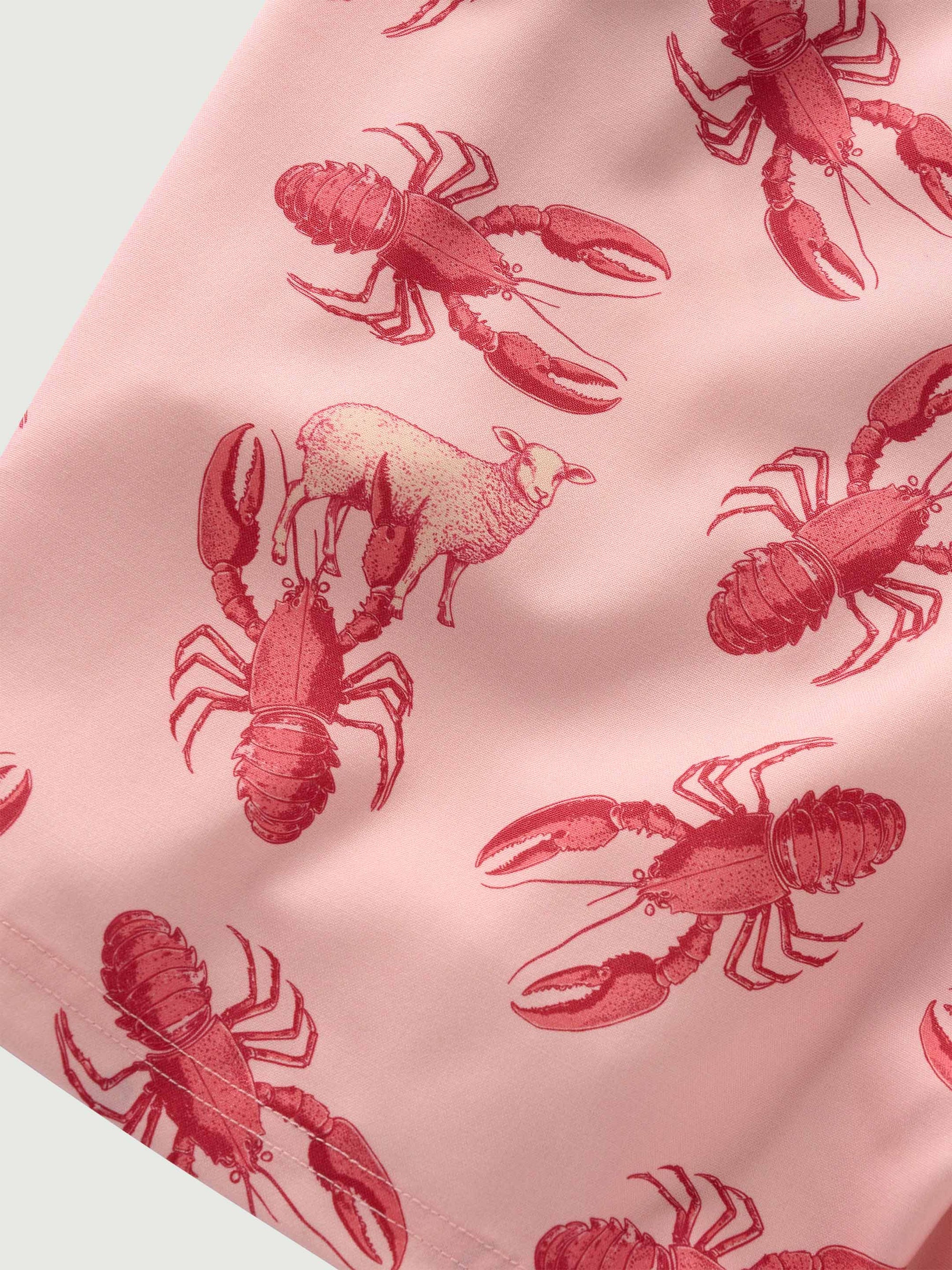 The Merino Swim Shorts - Pink Lobster